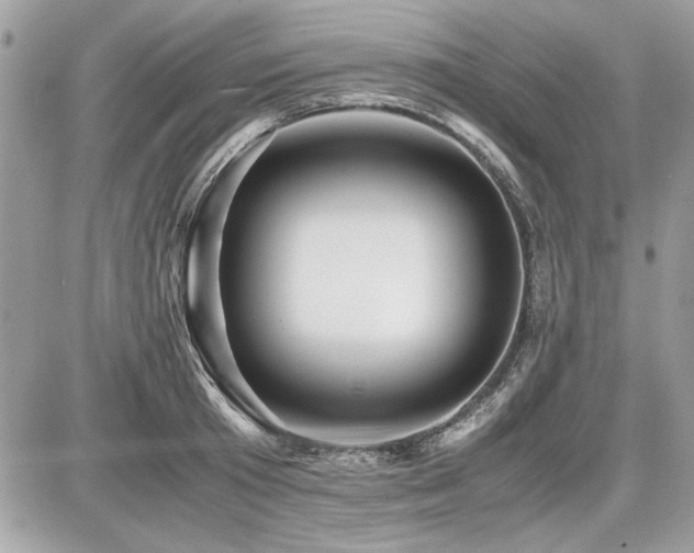 X0000087690801200705041036