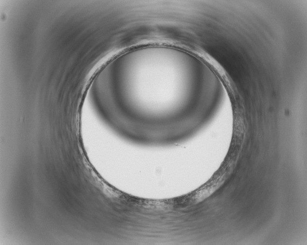 X0000087690807200705041036