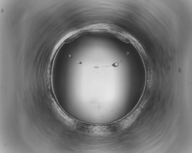 X0000087690808200705041036