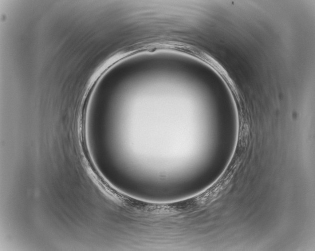 X0000087690811200705041036