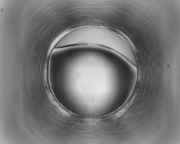 X0000087690812200705041036