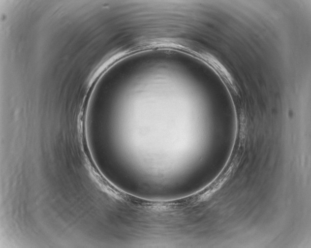 X0000087690814200705041036