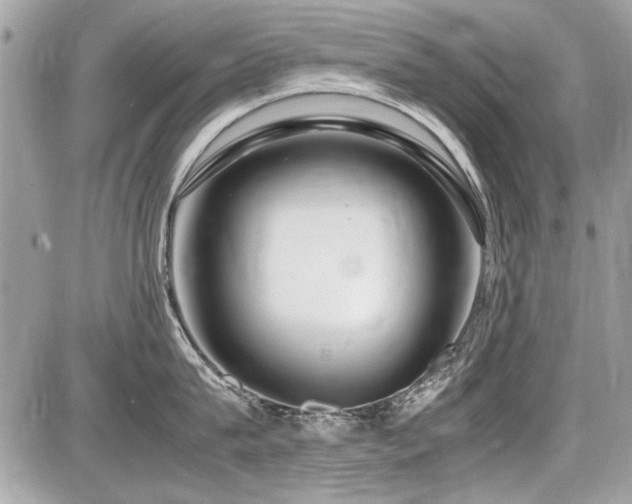 X0000087690815200705041036