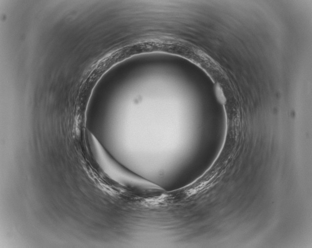 X0000087690822200705041035