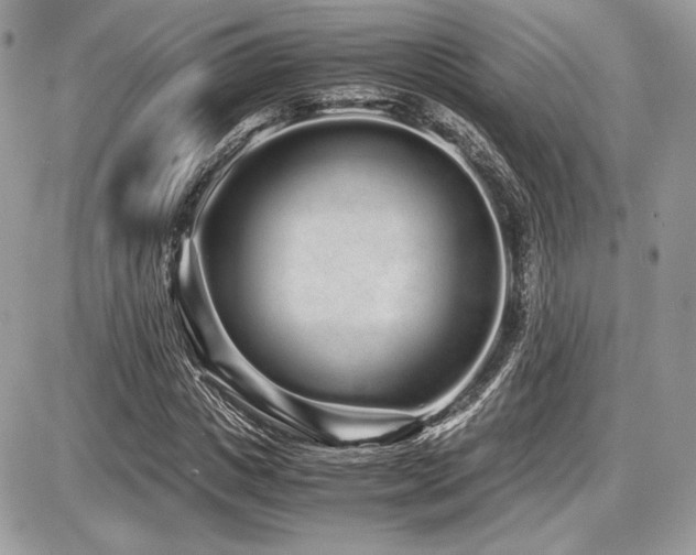 X0000087690825200705041035