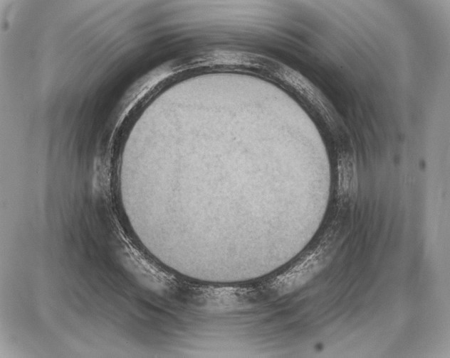 X0000087690828200705041035