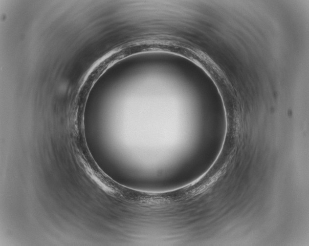 X0000087690830200705041035