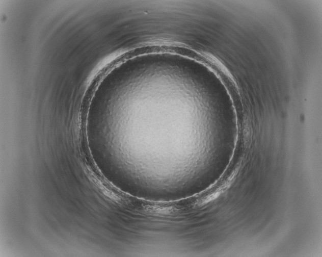 X0000087690831200705041035