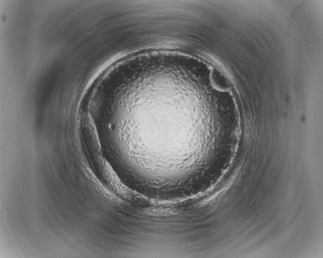 X0000087690835200705041036