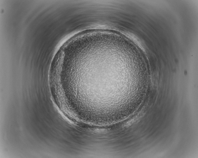 X0000087690839200705041036