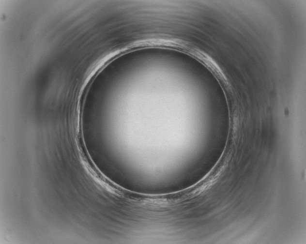X0000087690844200705041036