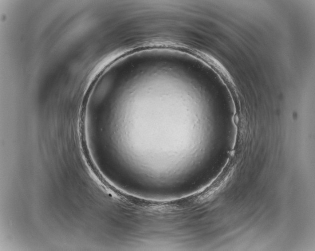 X0000087690847200705041036