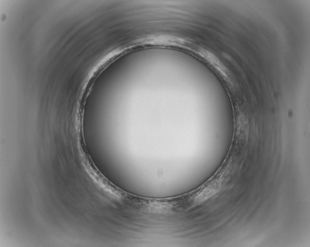 X0000087690848200705041036