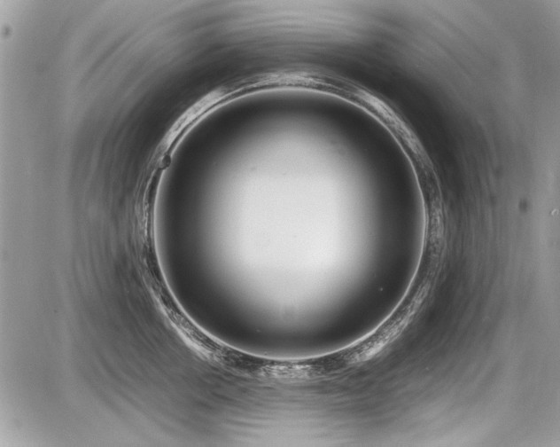X0000087690858200705041036