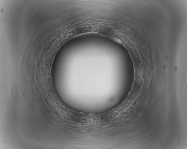 X0000087690865200705041035