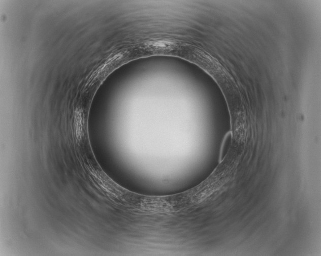 X0000087690866200705041035