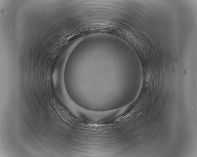 X0000087690868200705041035