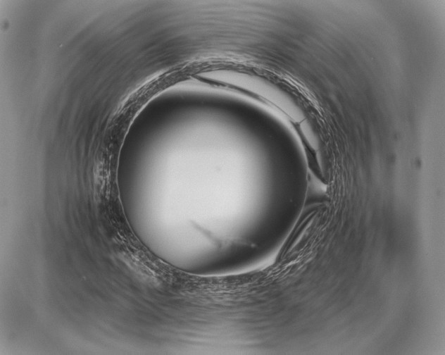 X0000087690872200705041035