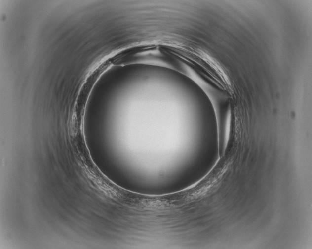 X0000087690876200705041035