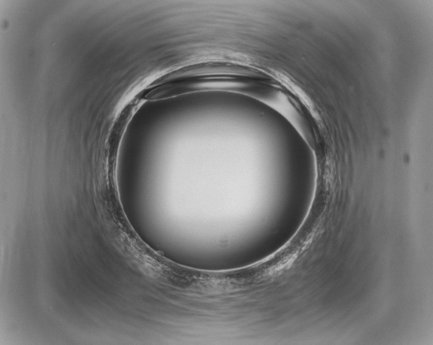 X0000087690877200705041035