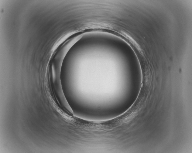 X0000087690885200705041035