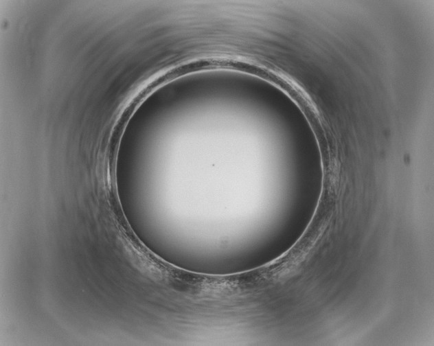 X0000087690887200705041035