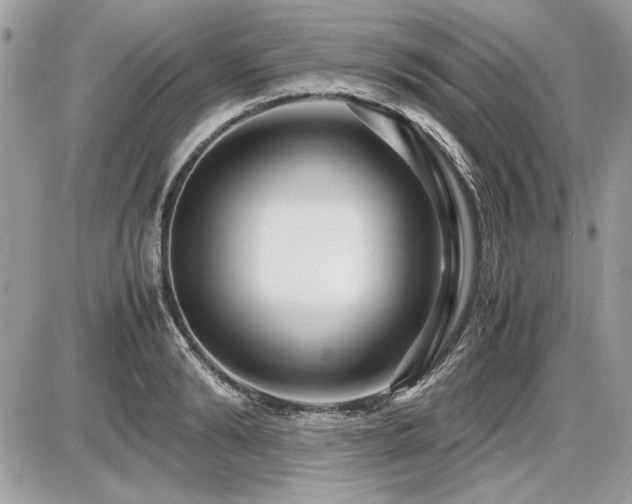X0000087690894200705041035