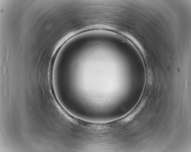 X0000087690910200705041034