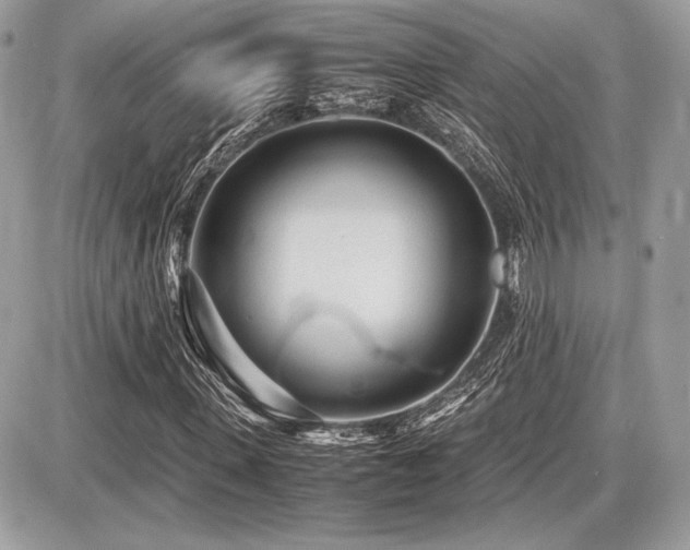 X0000087690915200705041034