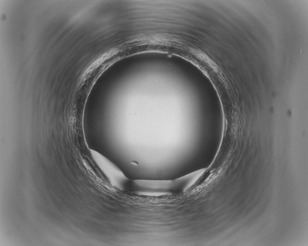 X0000087690922200705041034