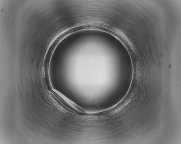 X0000087690924200705041034