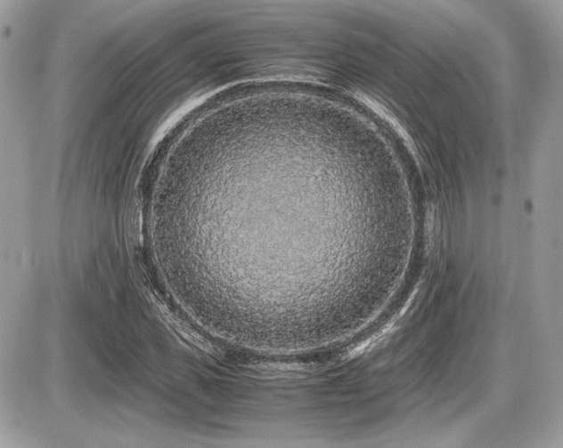 X0000087690925200705041034