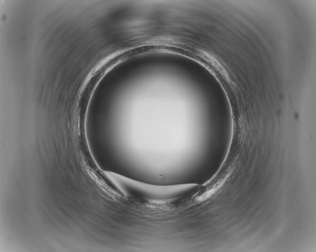X0000087690931200705041034