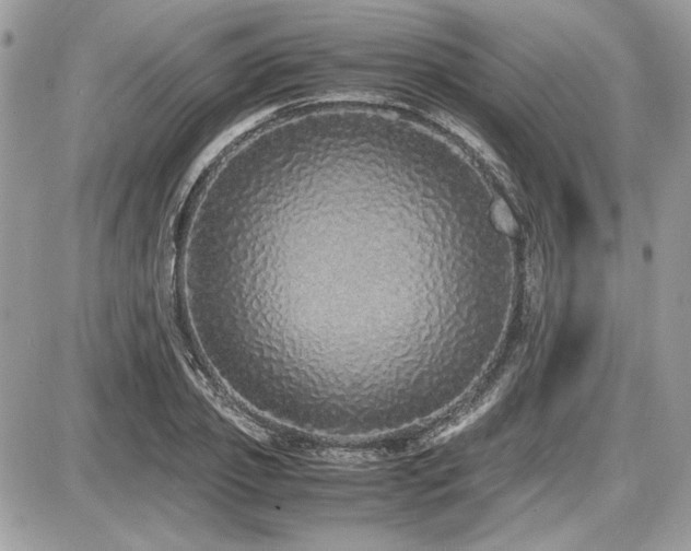 X0000087690933200705041034