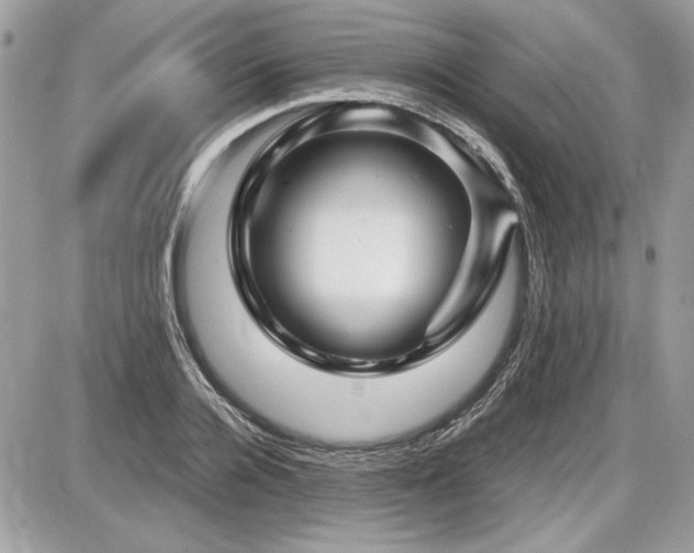 X0000087690936200705041034
