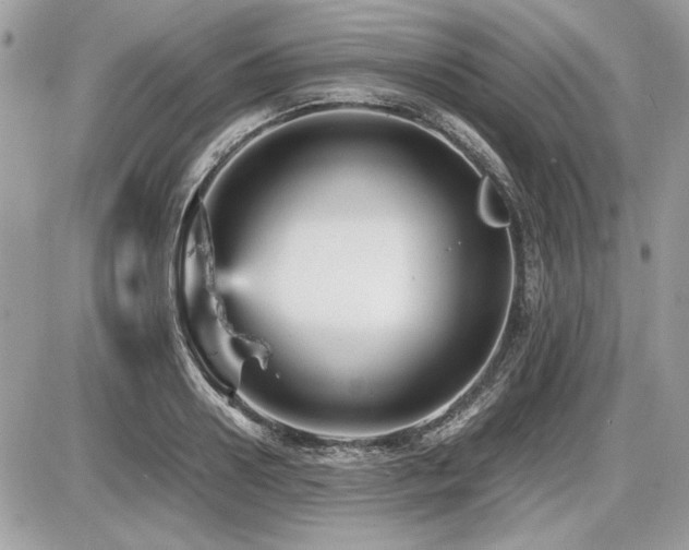X0000087690938200705041034
