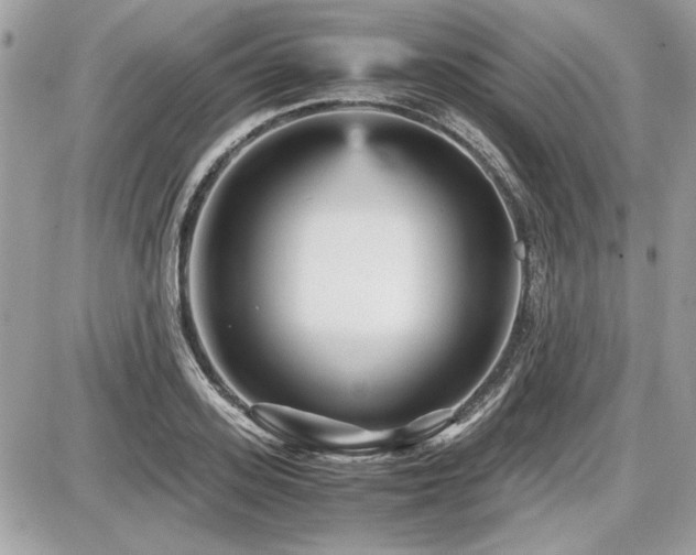 X0000087690939200705041034