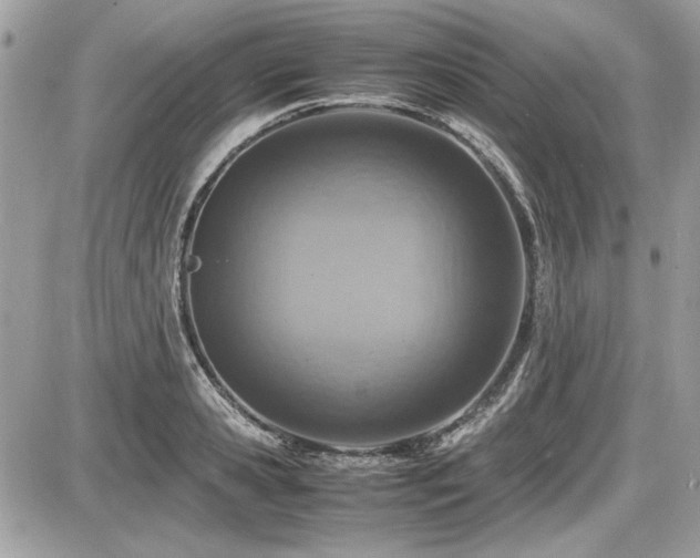 X0000087690941200705041034