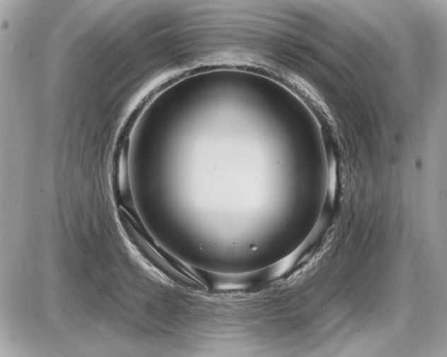 X0000087690942200705041034