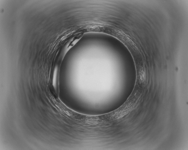 X0000087690964200705041034
