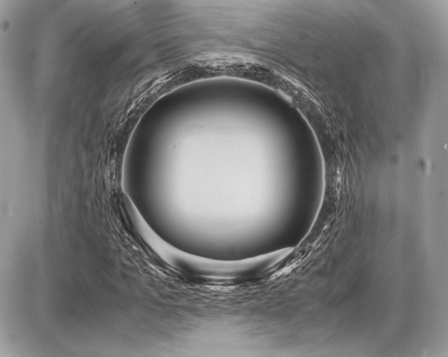 X0000087690965200705041034