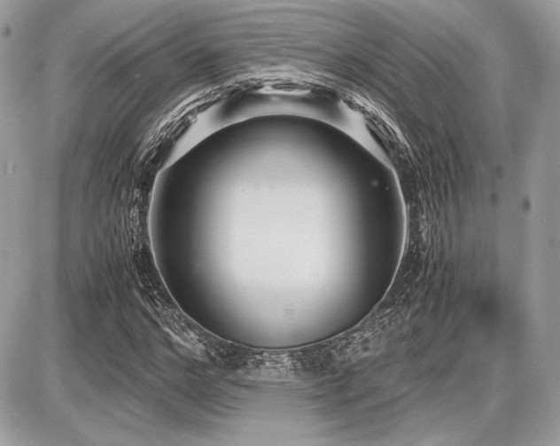 X0000087690968200705041034