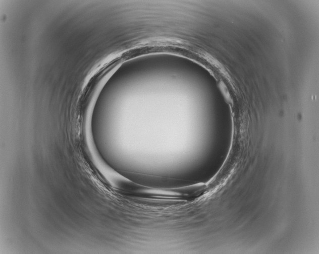 X0000087690973200705041033