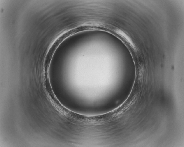 X0000087690976200705041033