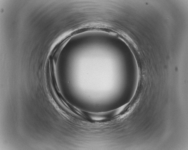 X0000087690981200705041033