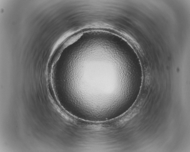 X0000087690990200705041033