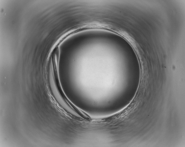 X0000087691008200705041033