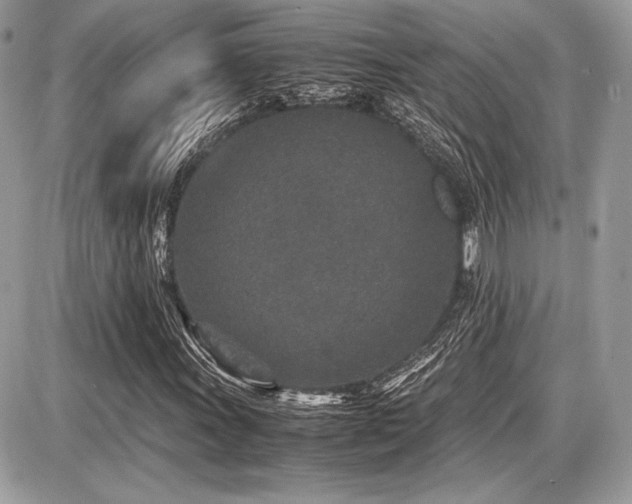 X0000087691011200705041032