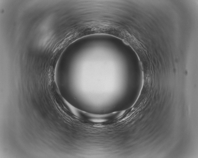 X0000087691012200705041032