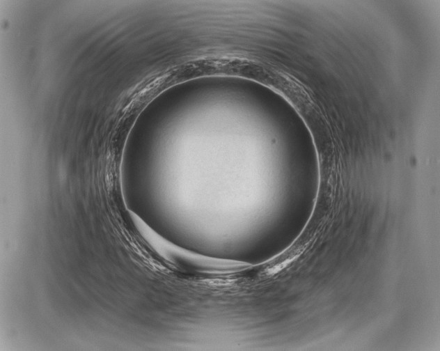 X0000087691014200705041032